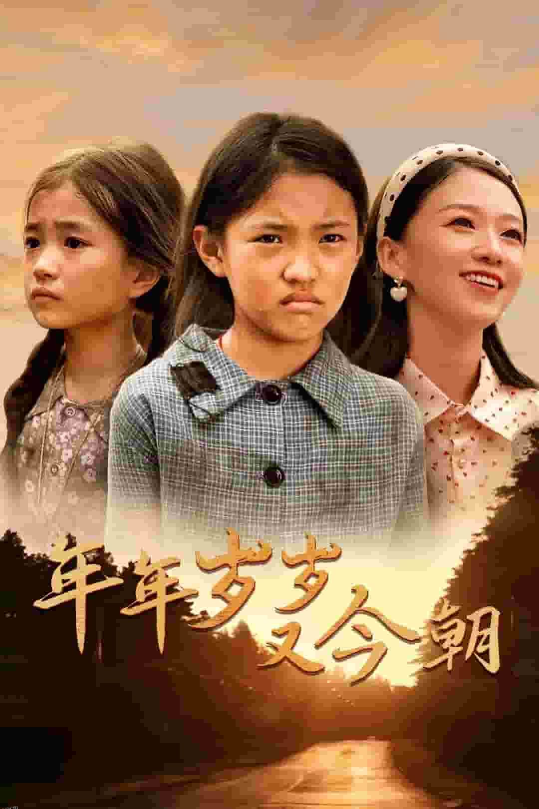 年年岁岁又今朝 海报