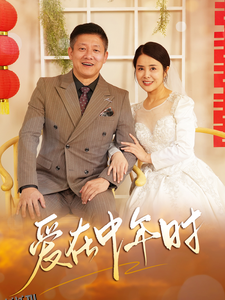 爱在中年时 海报