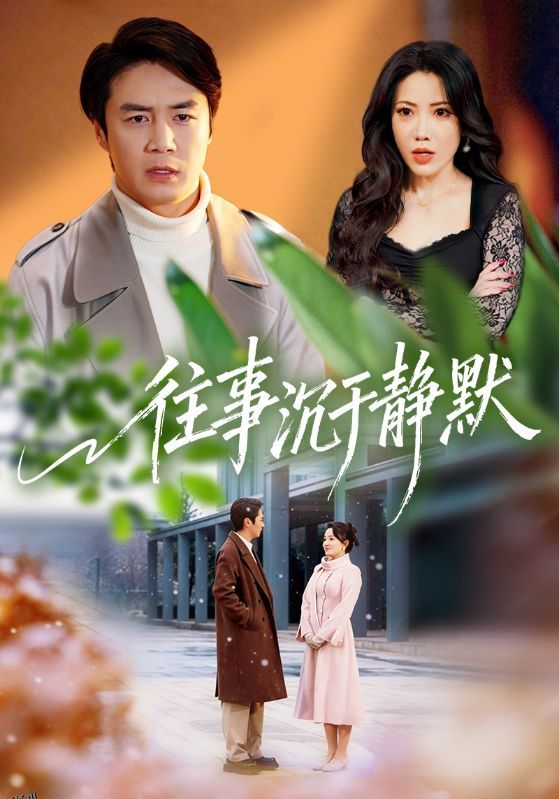 往事沉于静默 海报