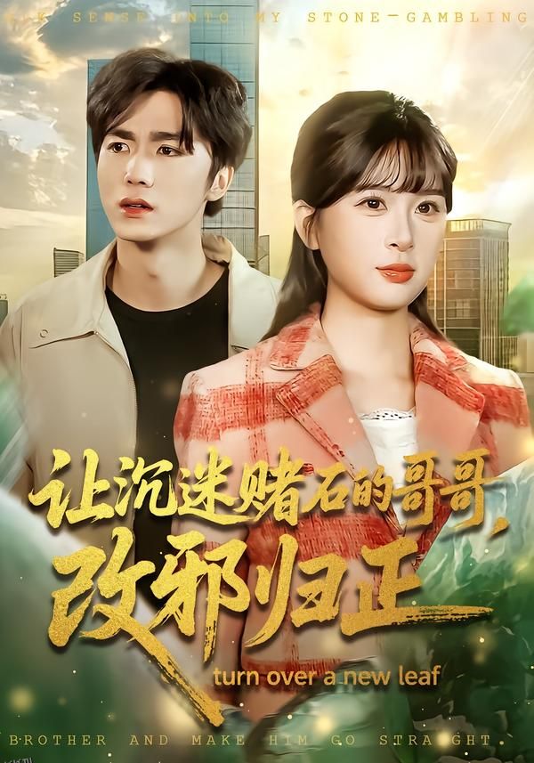 让沉迷赌石的哥哥，改邪归正 海报