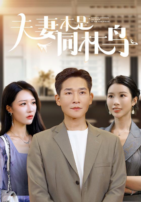 夫妻本是同林鸟 海报