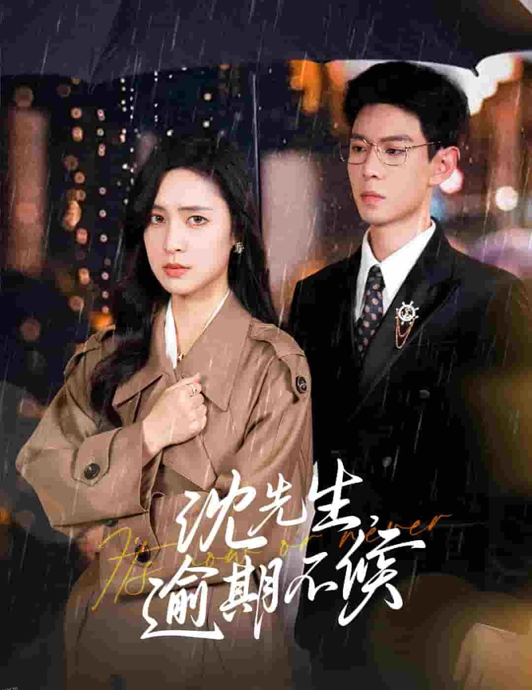 沈先生逾期不候 高清海报