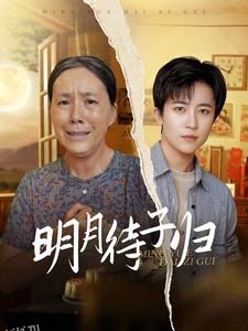 明月待子归 海报