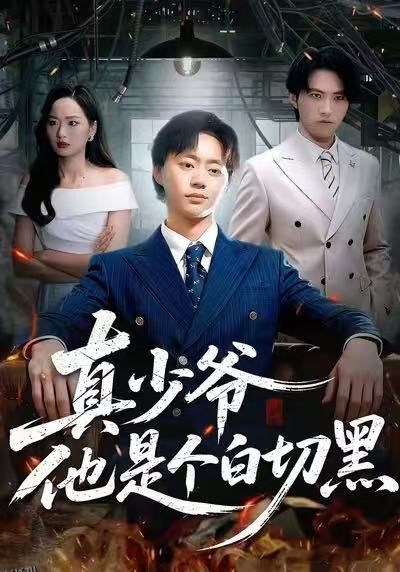 真少爷他是个白切黑 海报