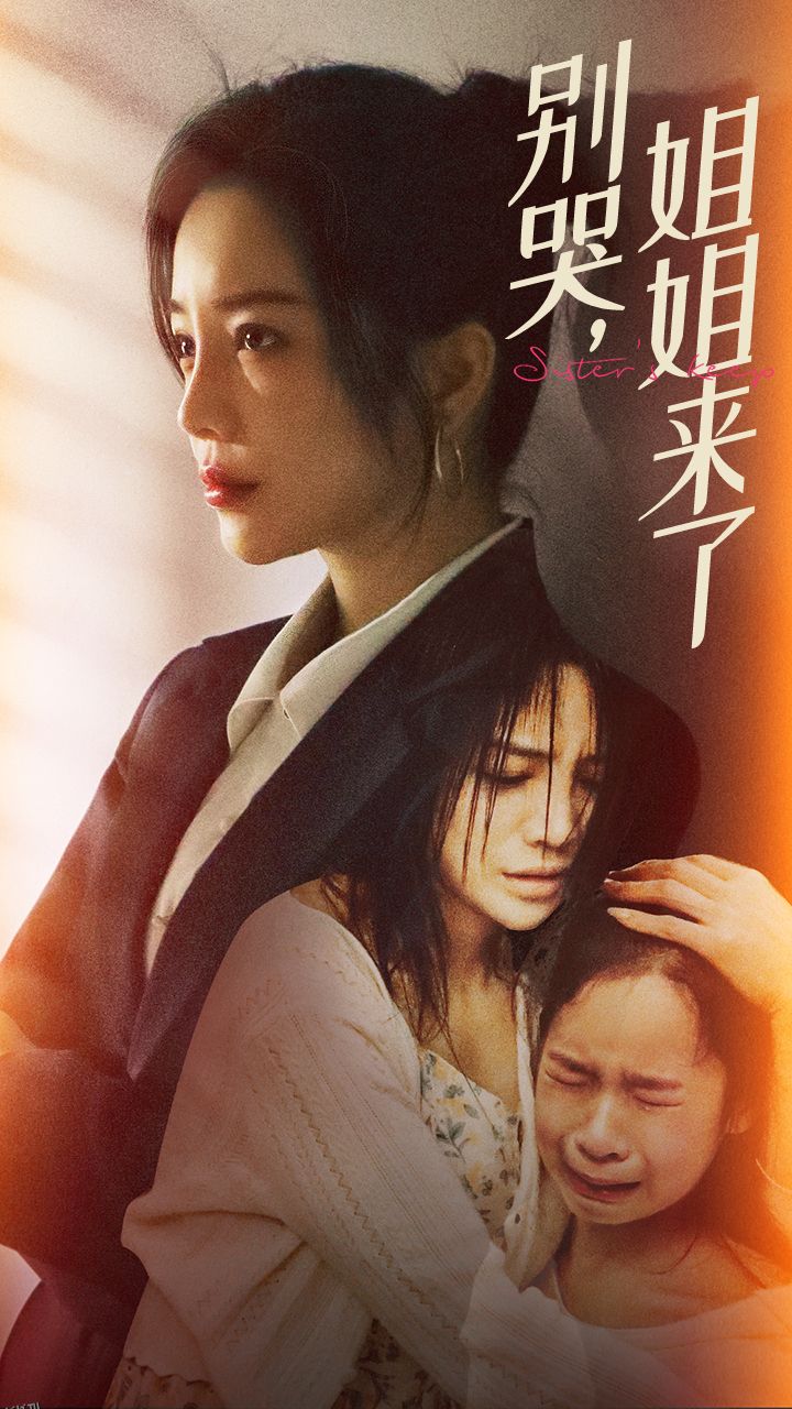 别哭，姐姐来了 海报