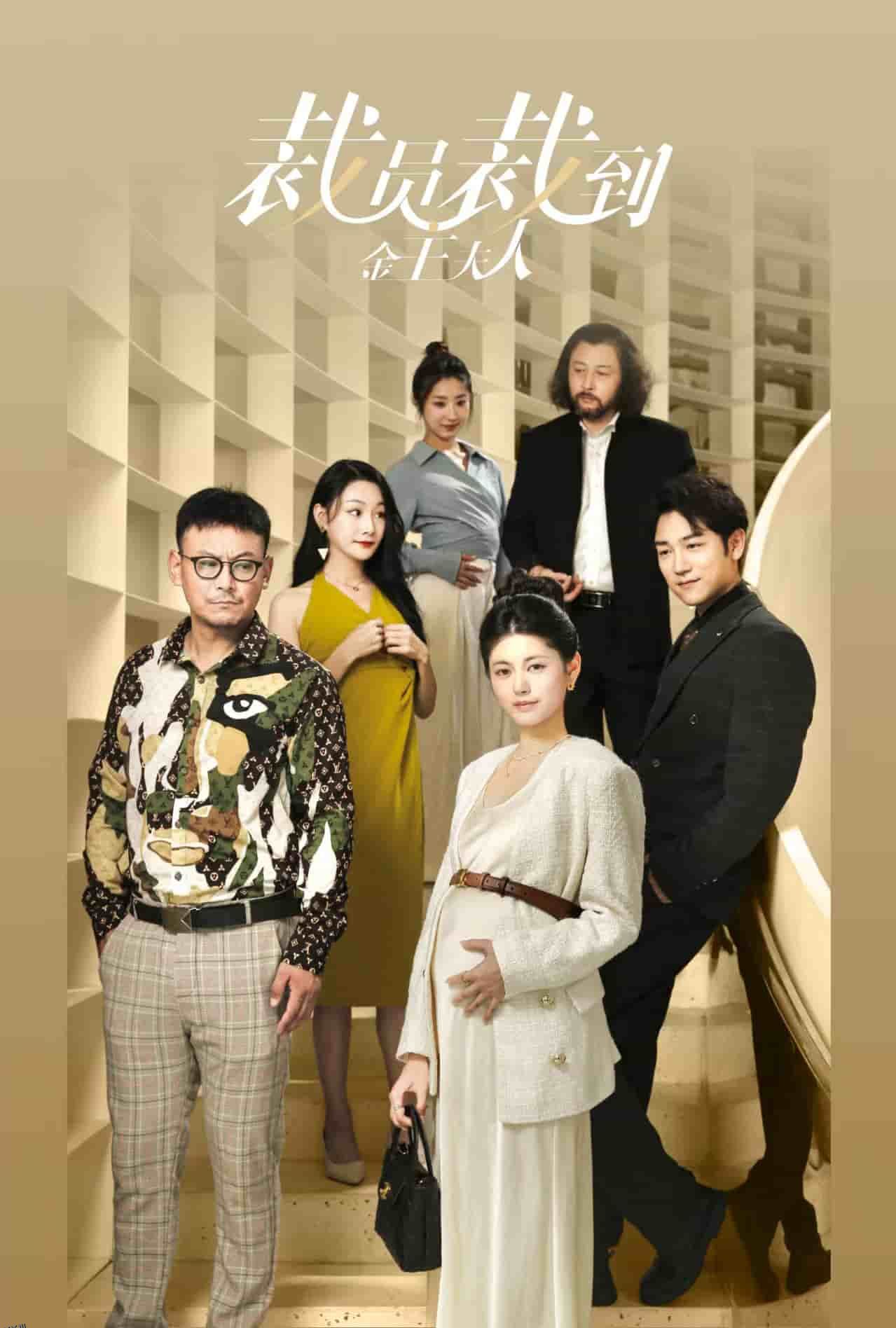 裁员裁到金主夫人 海报