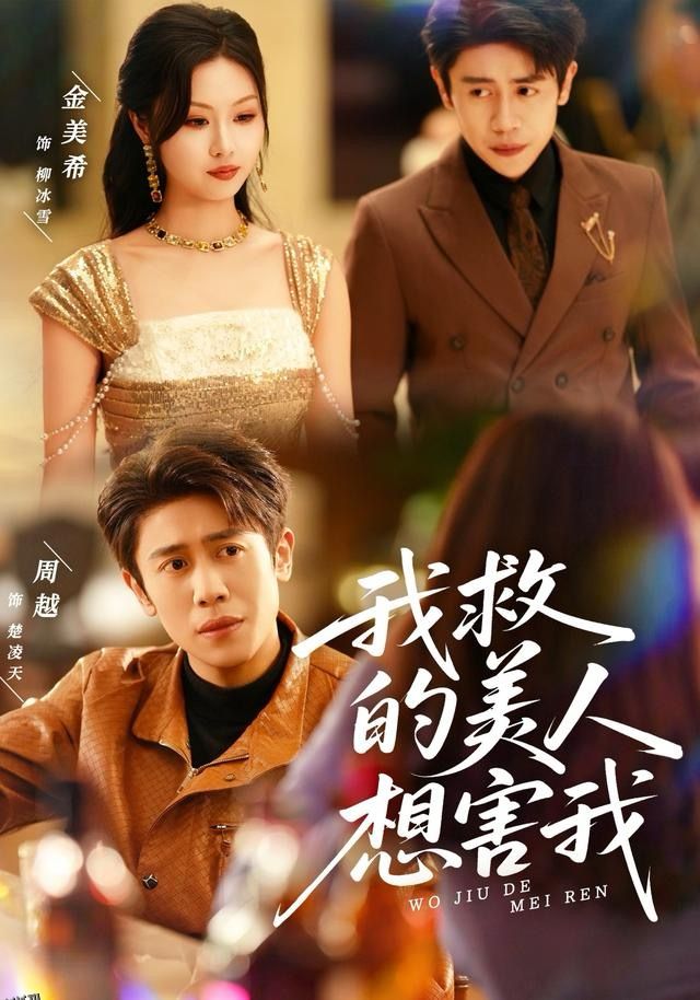 我救的美人想害我 海报