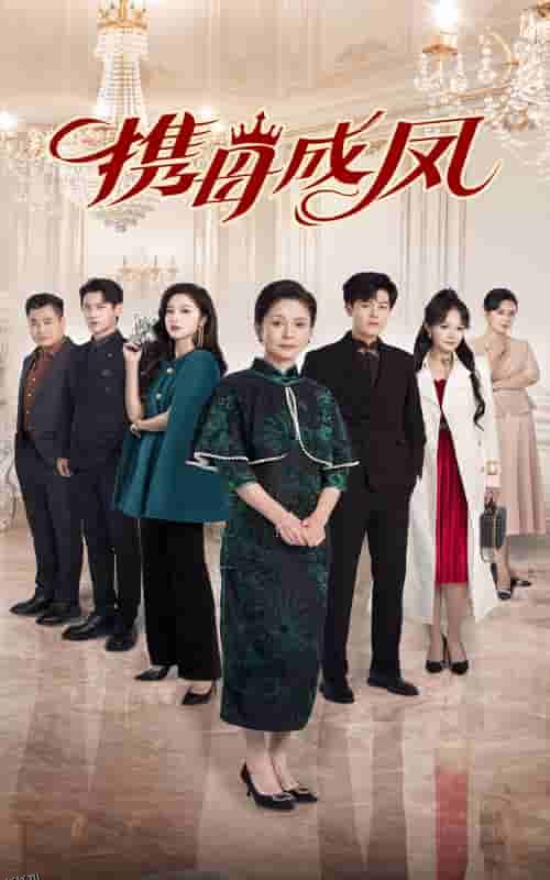 携母成凤 海报