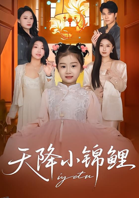 天降小锦鲤 海报