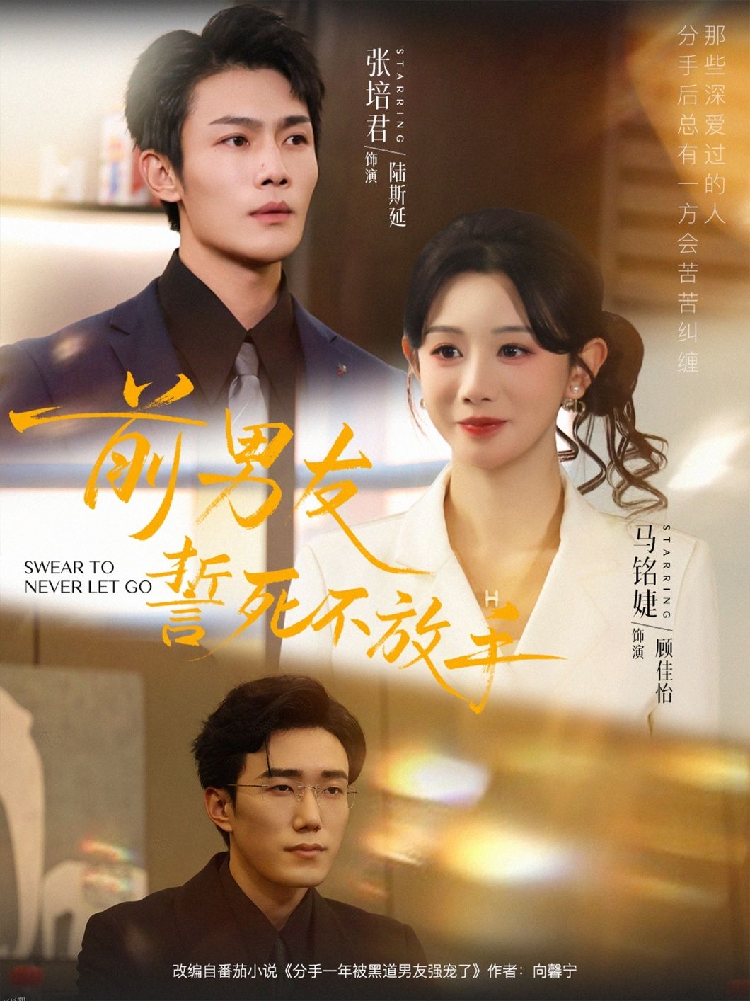 前男友誓死不放手 海报