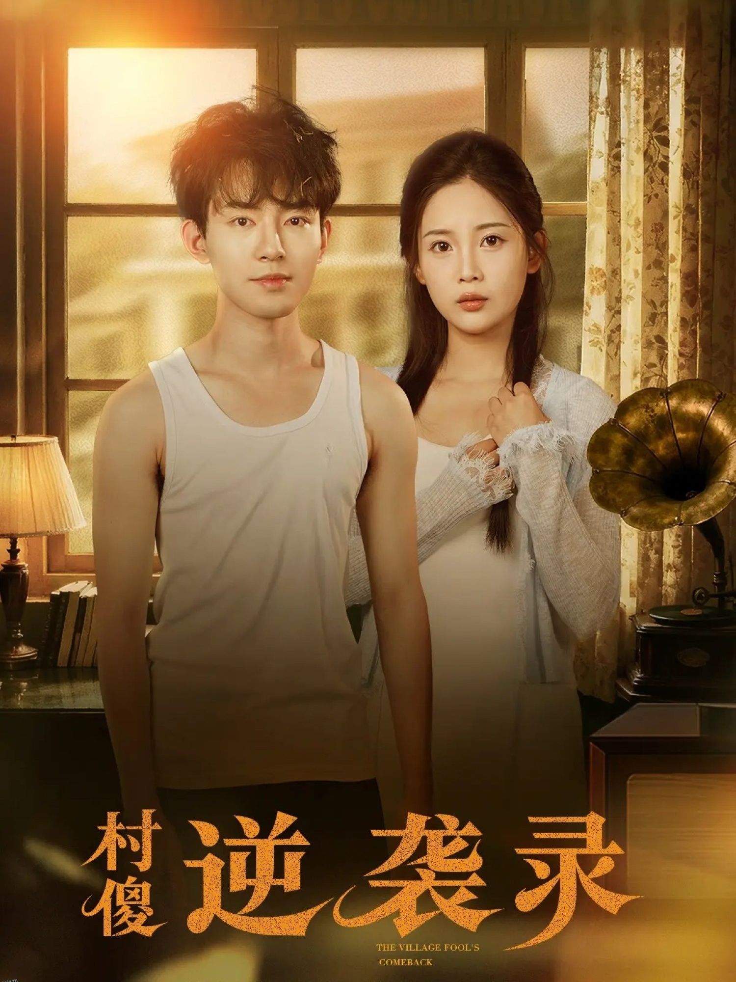 村傻逆袭录 海报