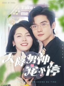 天降男神宠不停 海报