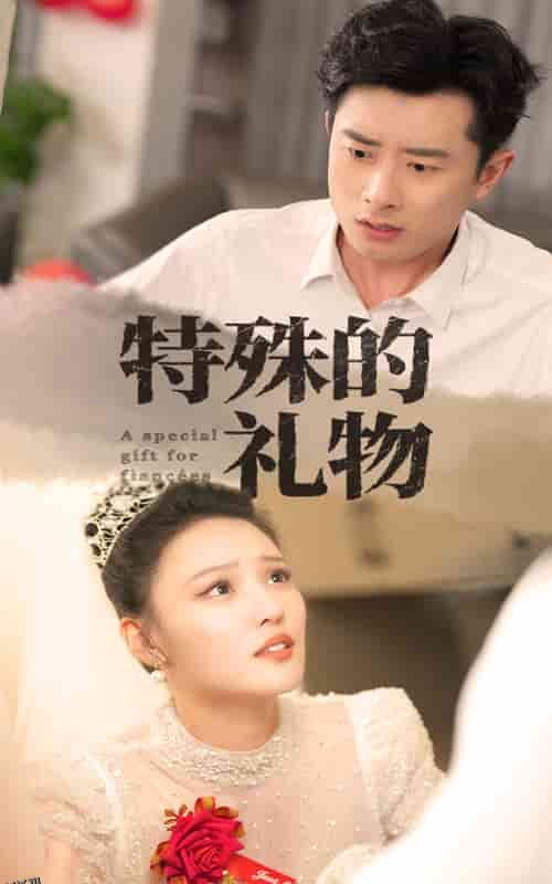 特殊的礼物 海报