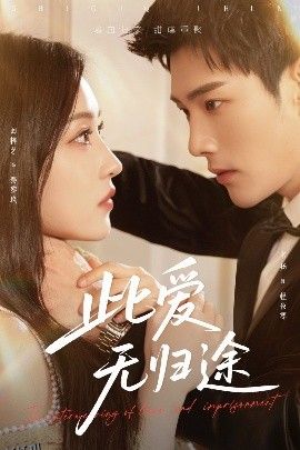 此爱无归途 海报