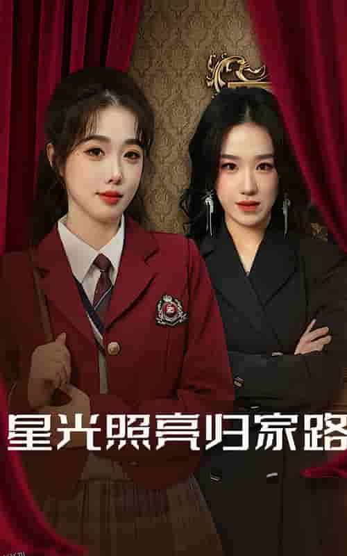 星光照亮归家路 海报