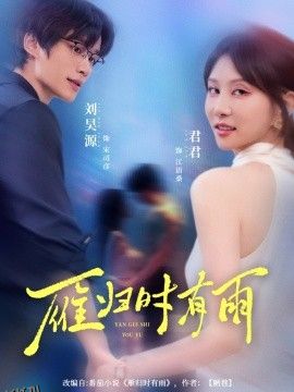 雁归时有雨 海报