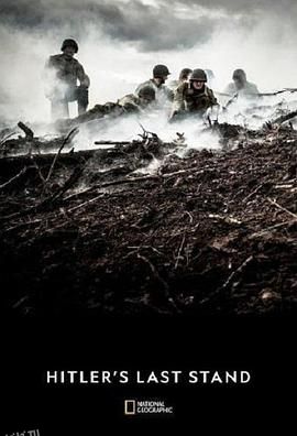 希特勒的最后一战 海报