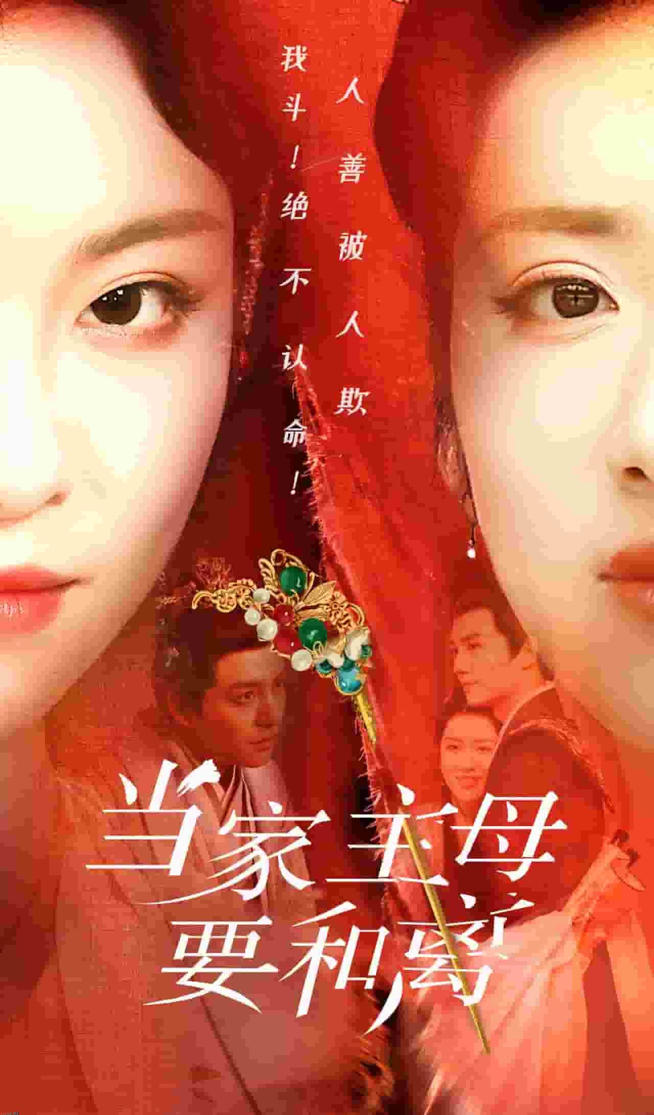 当家主母要和离 海报