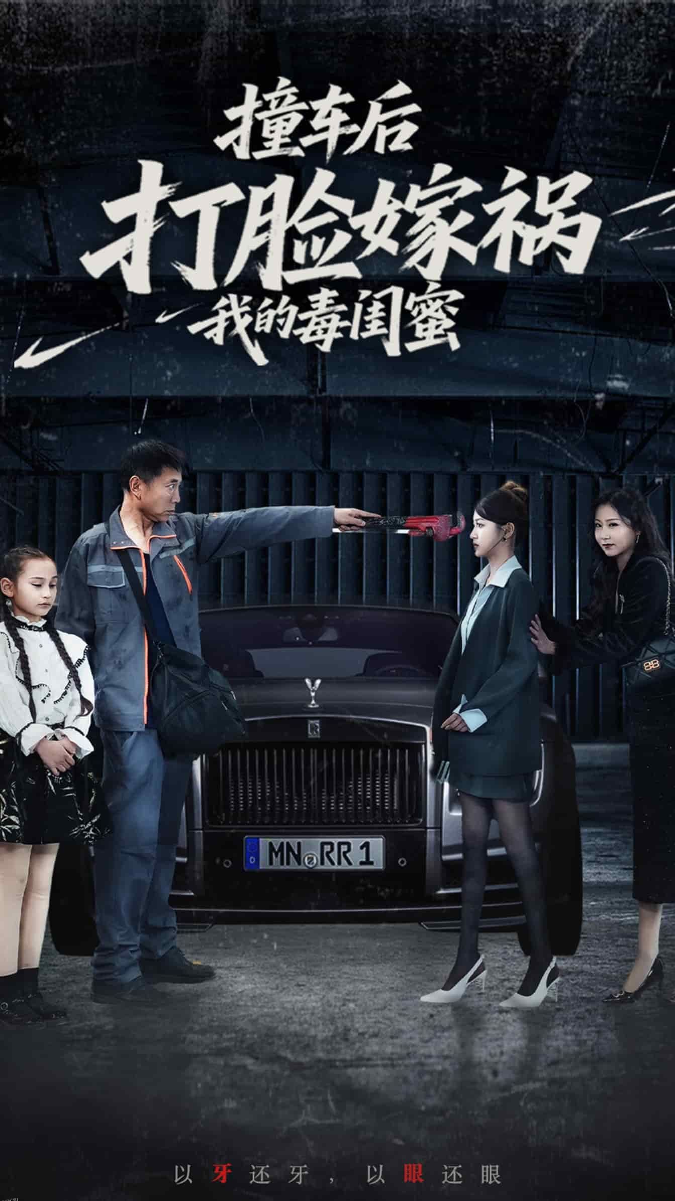 撞车后打脸嫁祸我的毒闺蜜 海报