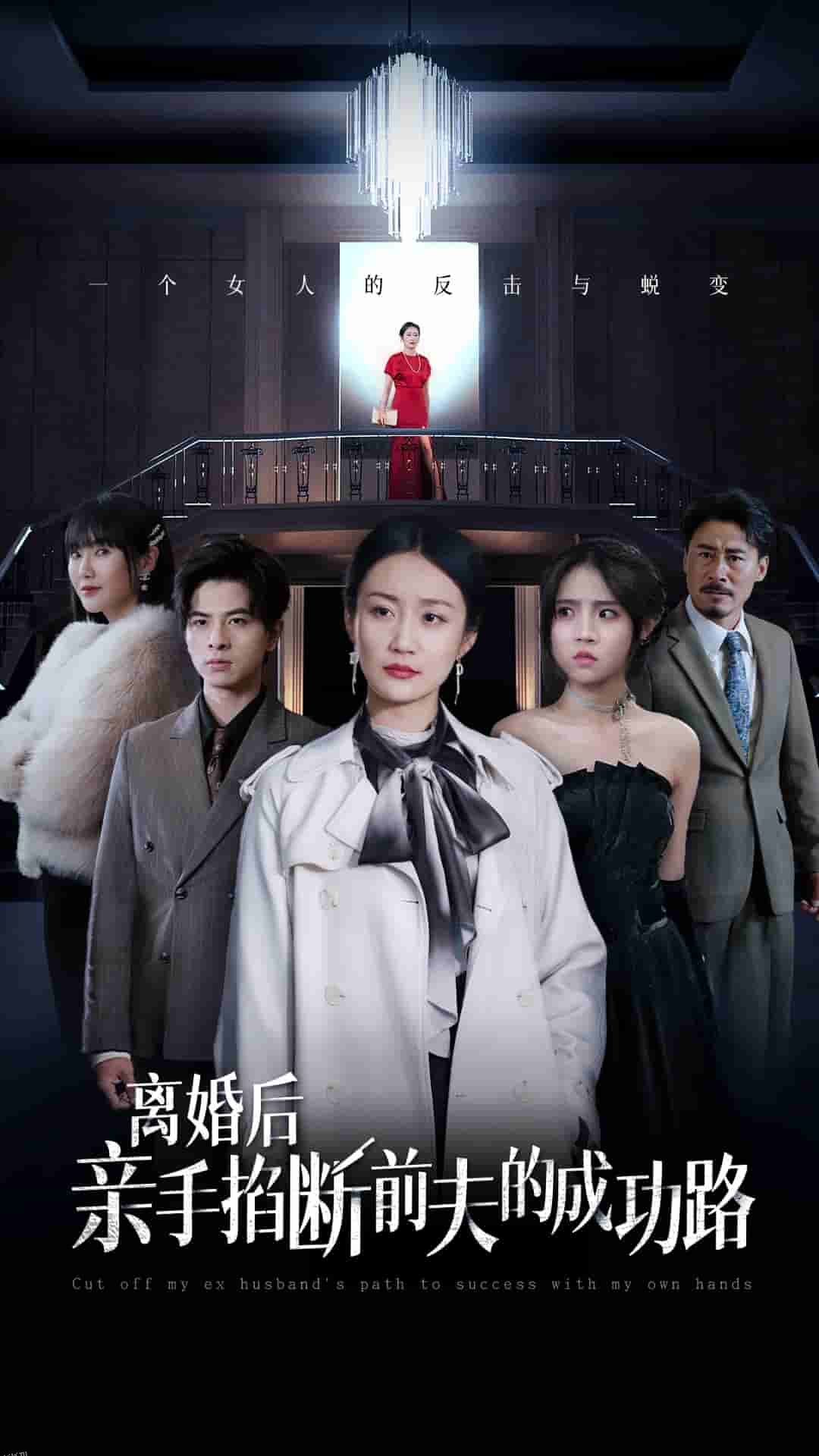 离婚后亲手掐断前夫的成功路 海报
