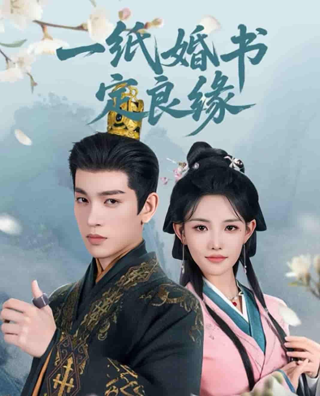 一纸婚书定良缘 海报