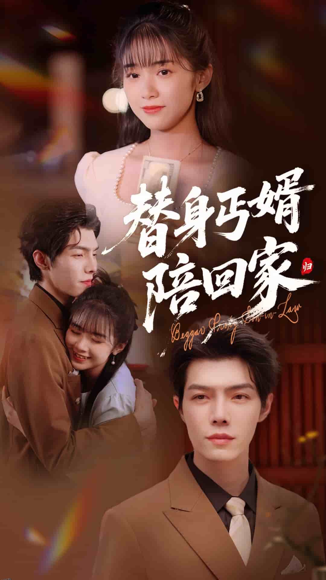 替身丐婿陪回家 海报