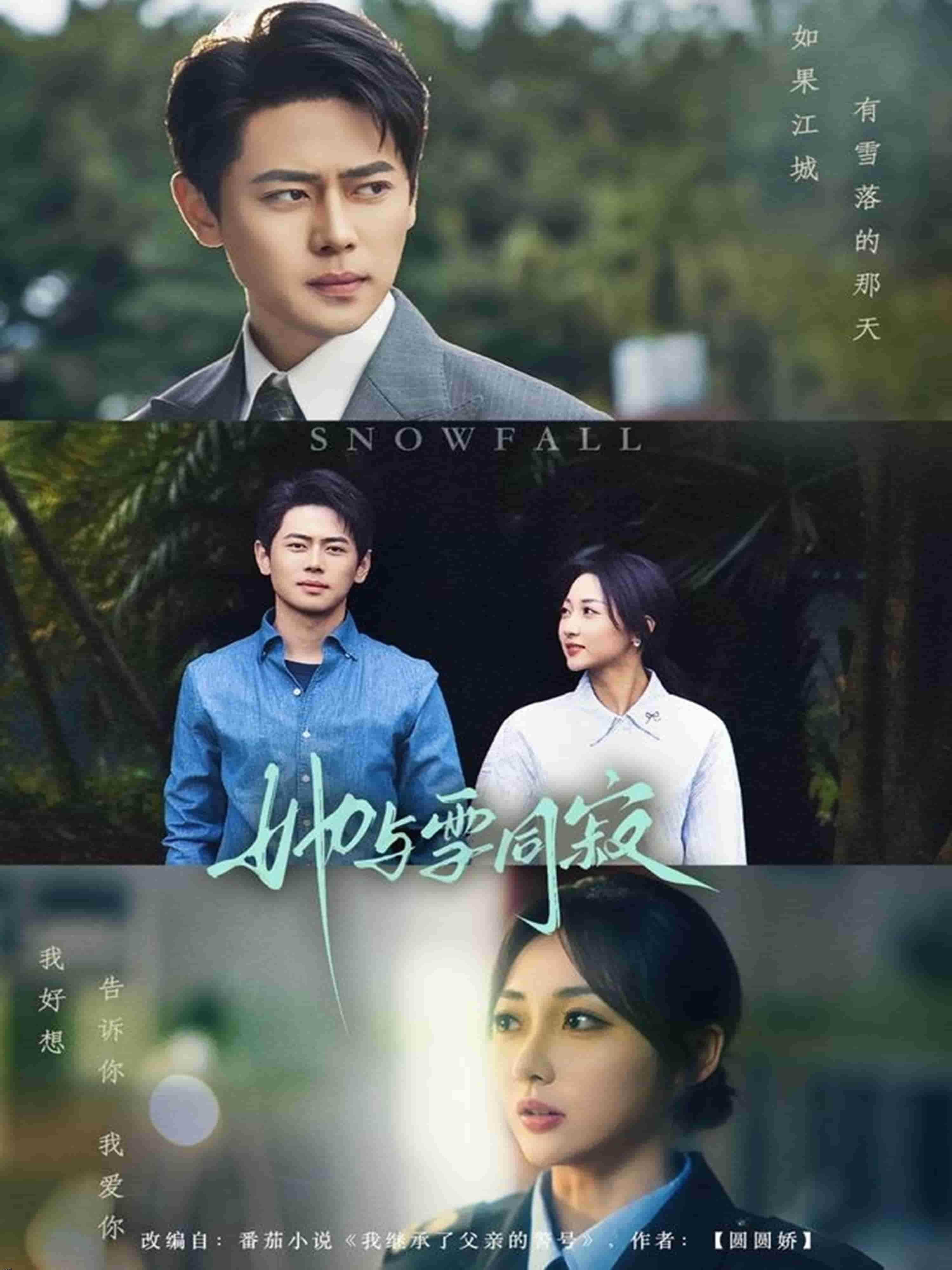 她与雪同寂 海报