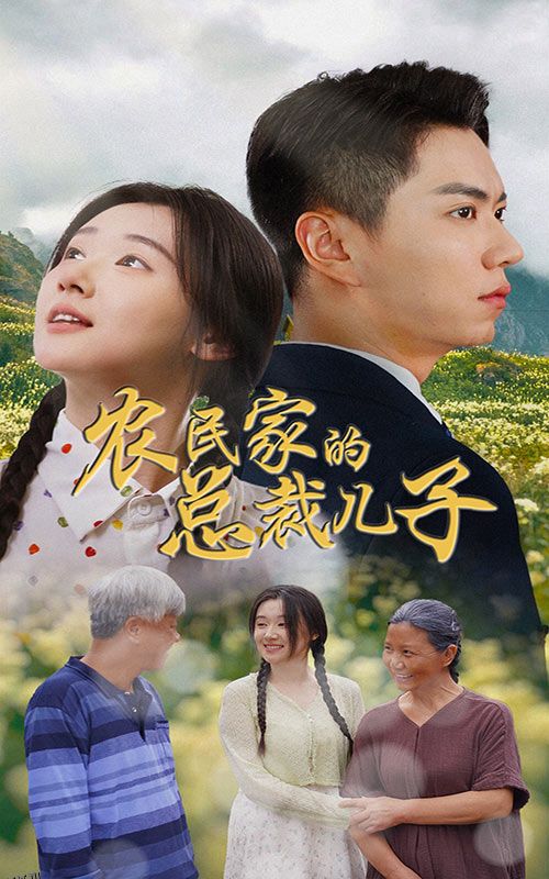 农民家的总裁儿子 海报