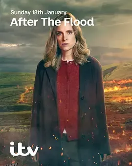 洪水之后 第二季 海报