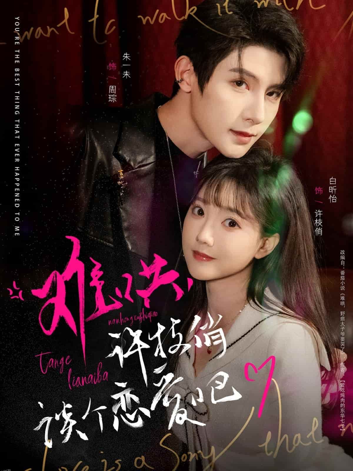 难哄，许枝俏谈个恋爱吧 海报