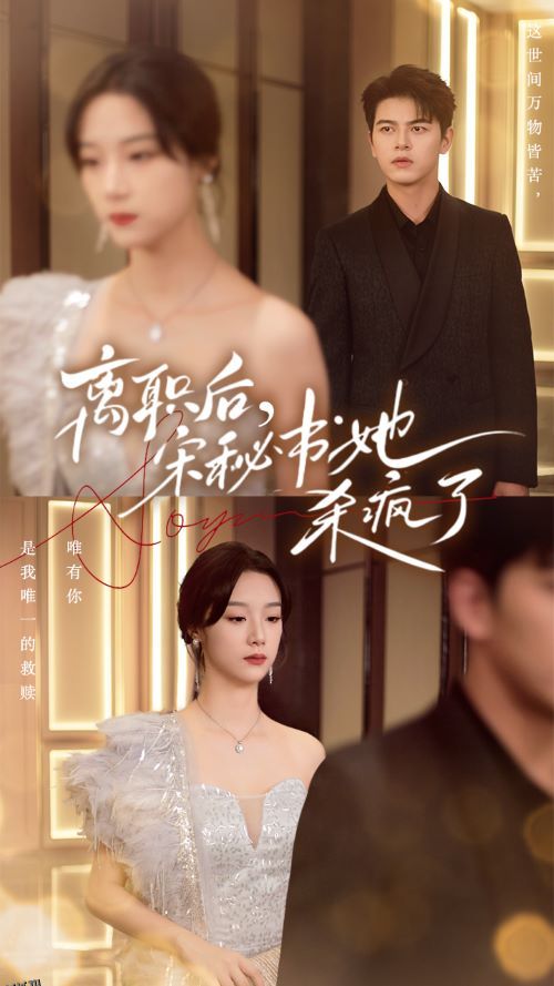 离职后，宋秘书她杀疯了 海报