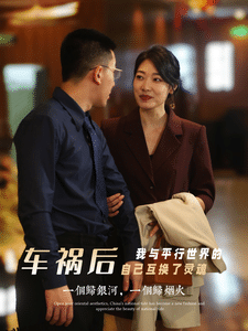 车祸后我与平行世界的自己互换了灵魂 海报