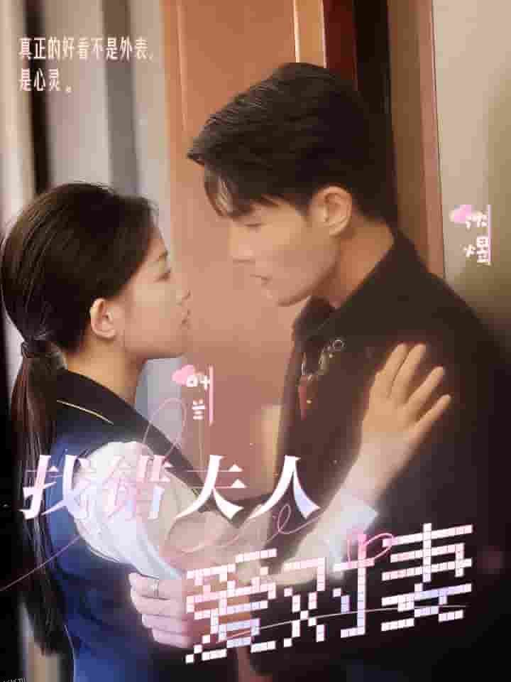 找错夫人爱对妻 海报