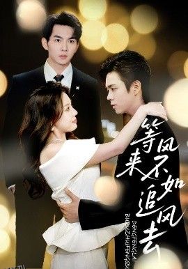 等风来不如追风去 海报