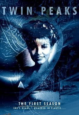 双峰第一季 高清海报