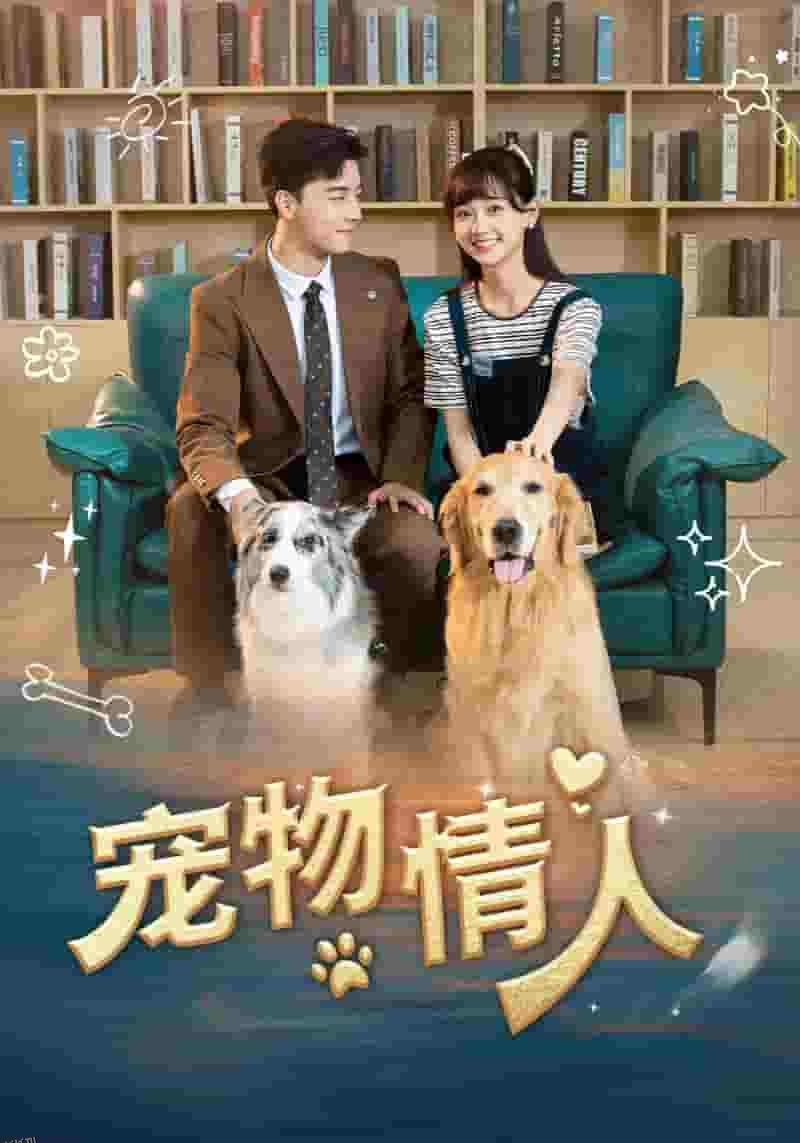 宠物情人 短剧版 海报