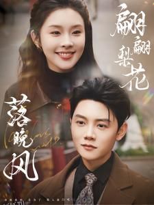 翩翩梨花落晚风 高清海报