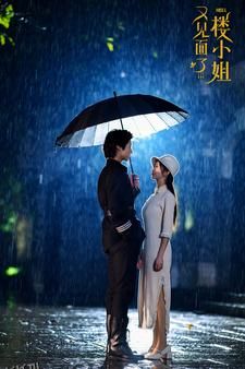 又见面了楼小姐 海报