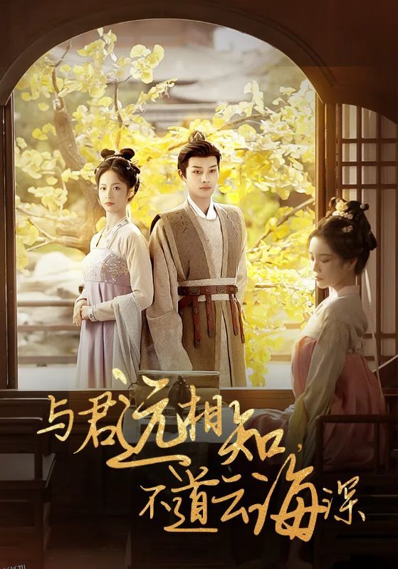 与君远相知不道云海深 海报