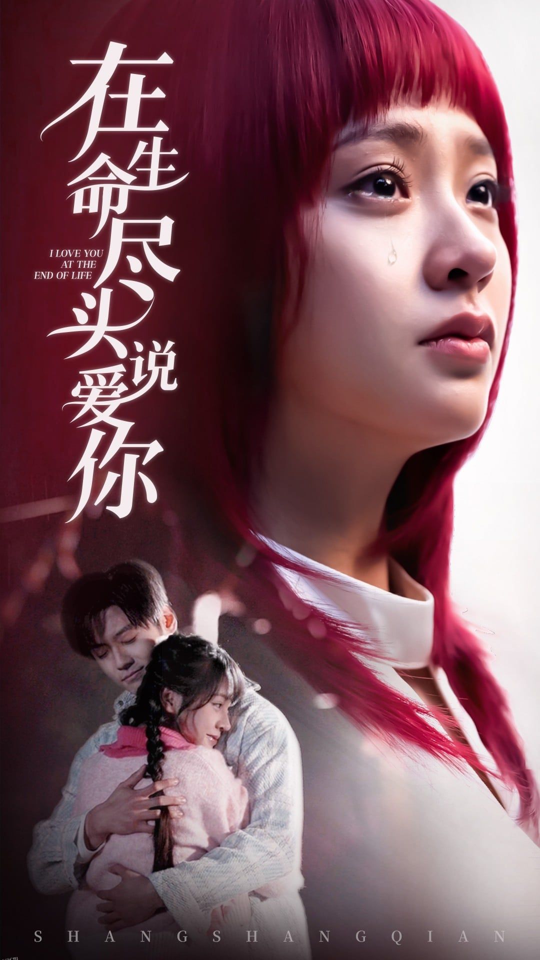 在生命尽头说爱你 海报