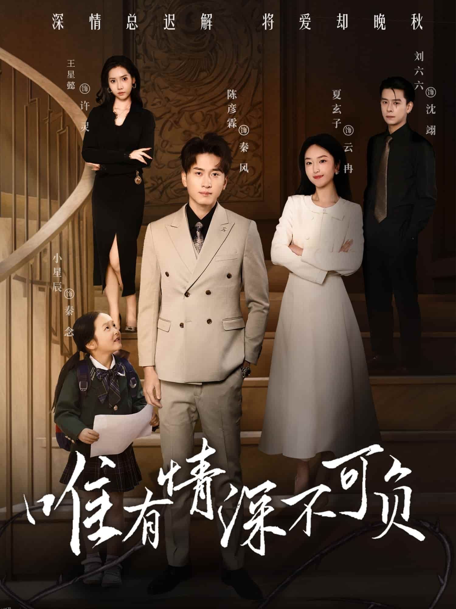 唯有深情不可负 海报