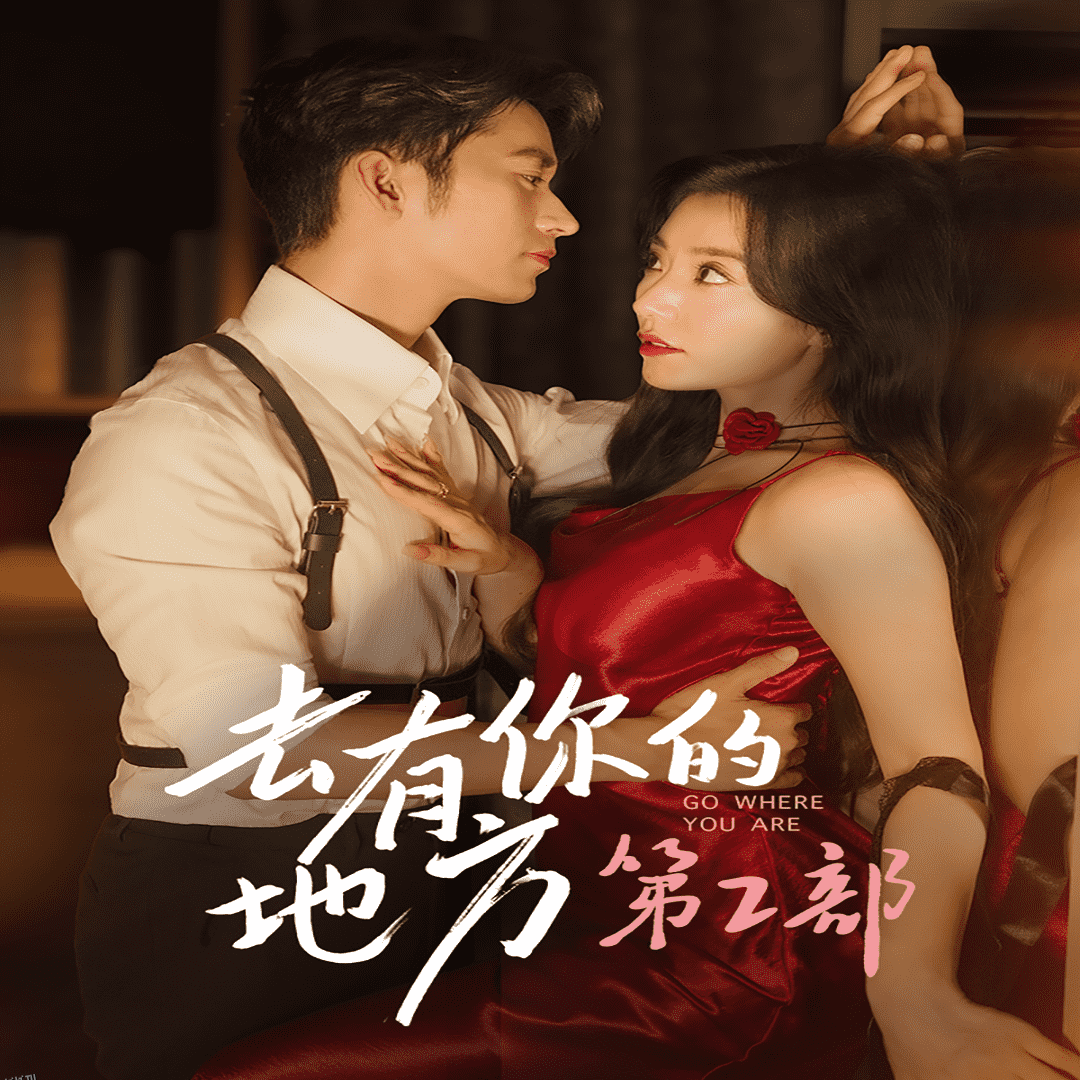 去有你的地方第2部 海报