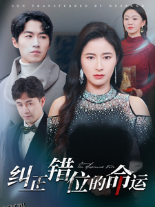 纠正错位的命运 高清海报