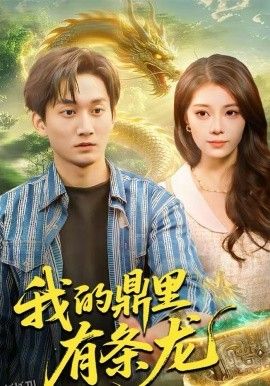 我的鼎里有条龙 海报