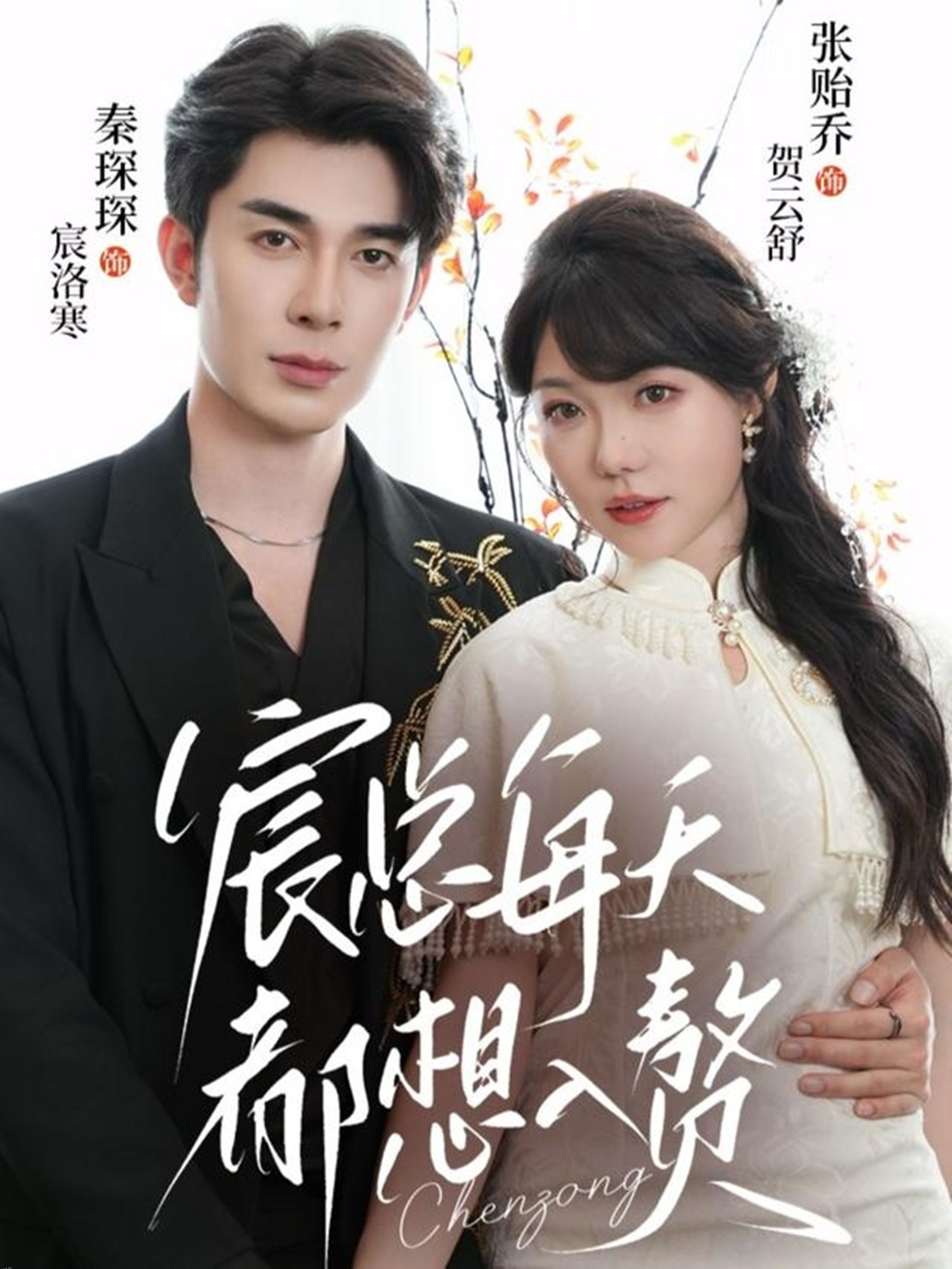 宸总每天都想入赘 海报