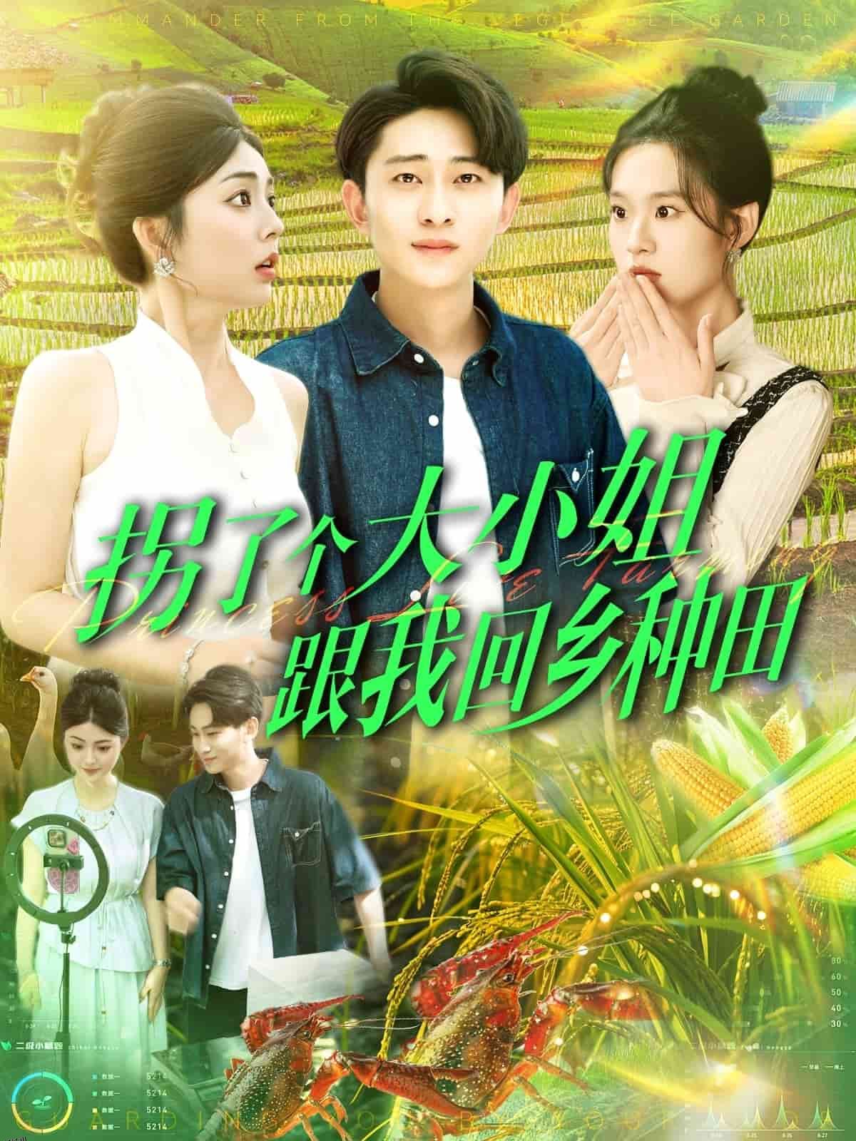 拐了个大小姐跟我回乡种田 海报