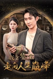 我靠鉴宝走向人生巅峰 海报