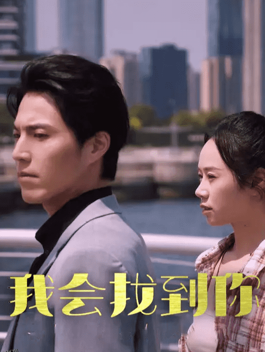 我会找到你 海报