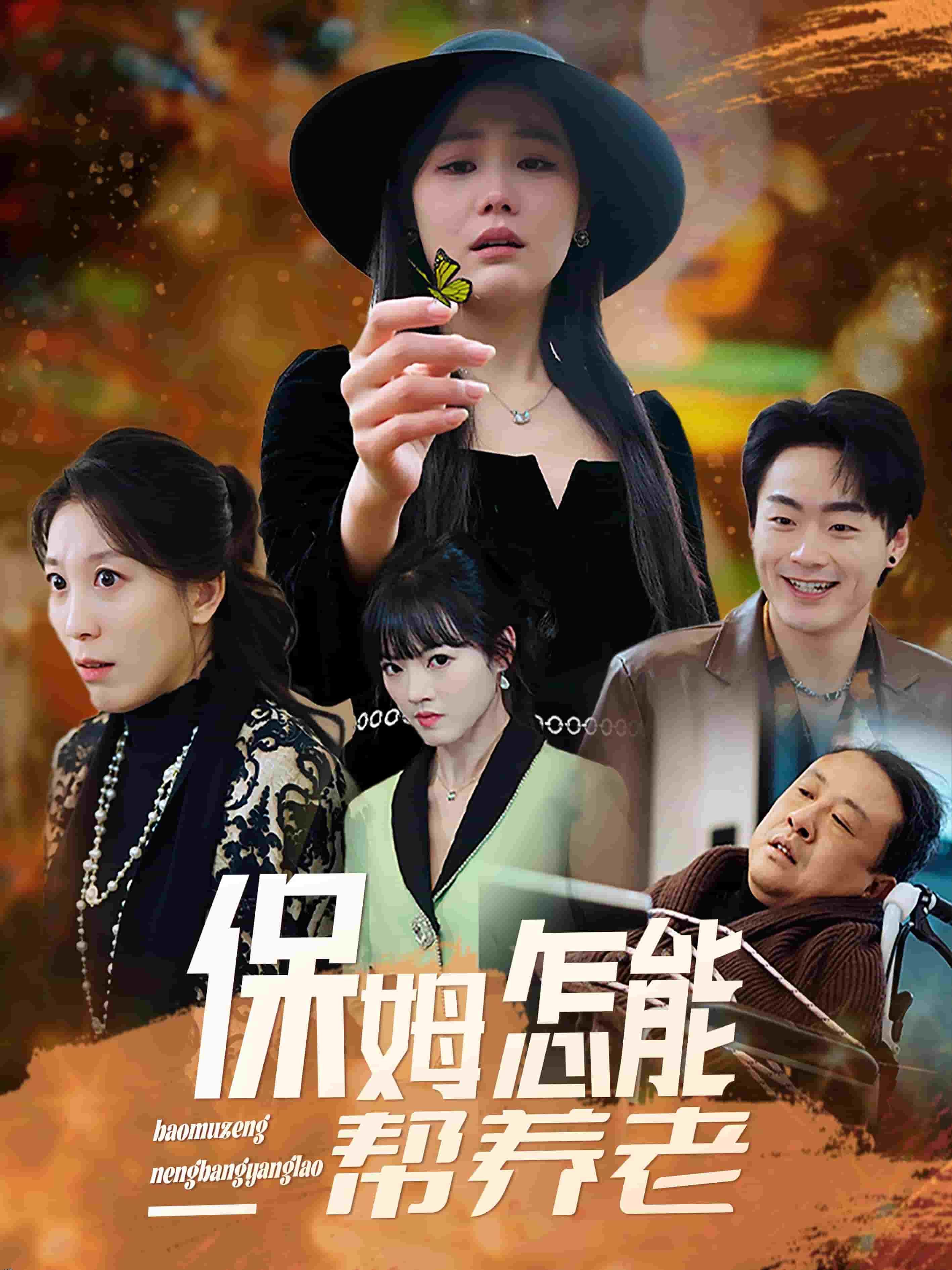 保姆怎能帮养老 海报