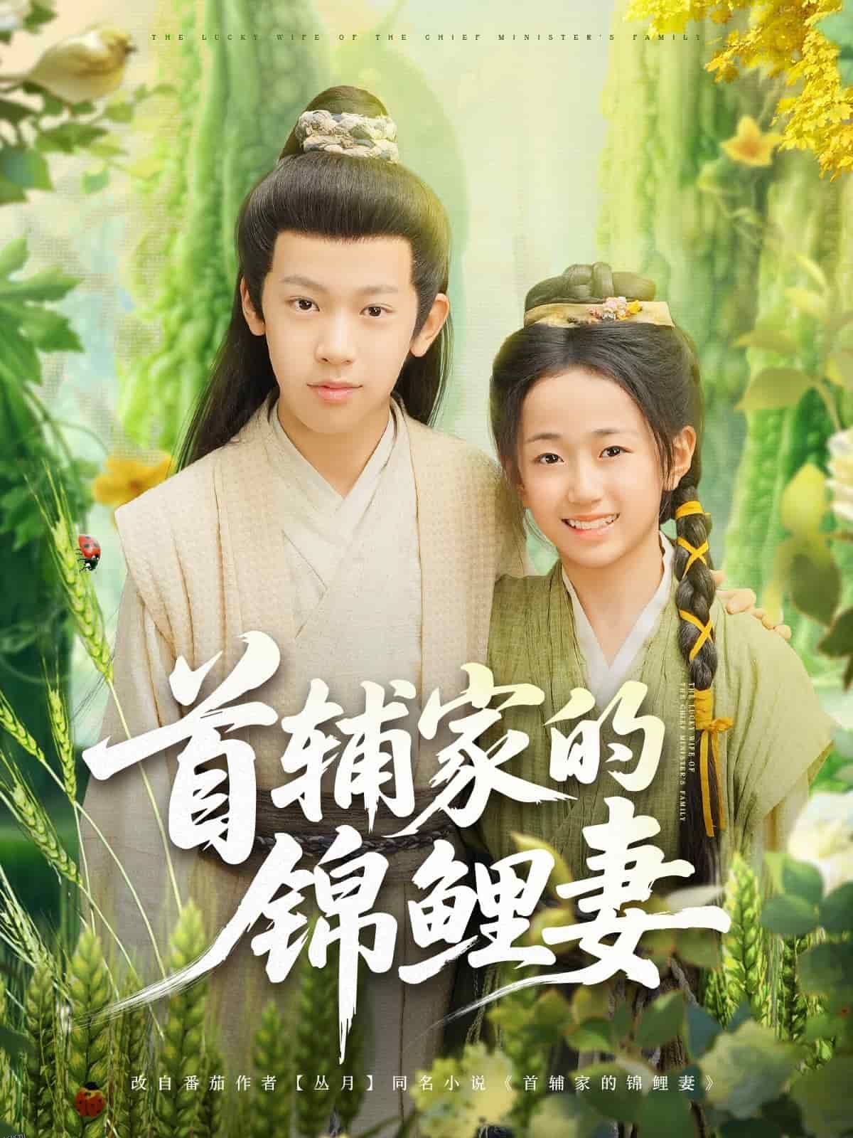 首辅家的锦鲤妻 海报